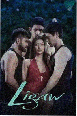 双面证词 海报